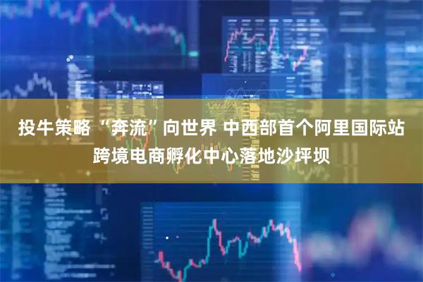 投牛策略 “奔流”向世界 中西部首个阿里国际站跨境电商孵化中心落地沙坪坝